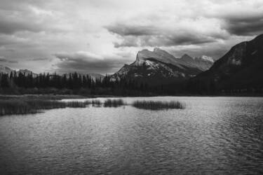 Standing the Test of Time with the Nikon Z f – part two
