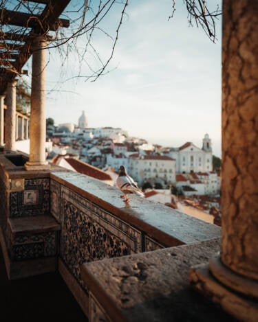 Eugenia Hanganu's assets for Nikon magazine