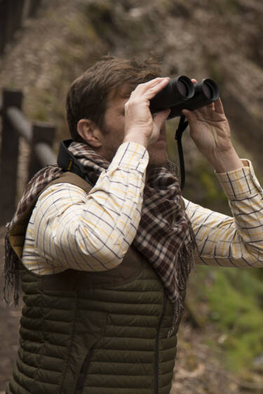 nikon-image
